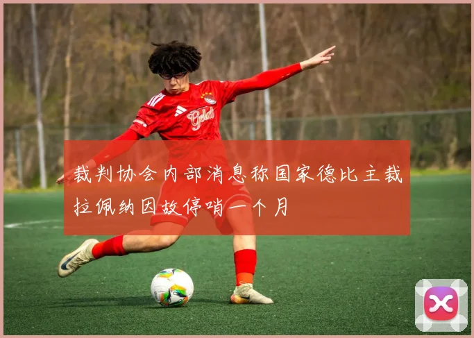 裁判协会内部消息称国家德比主裁拉佩纳因故停哨一个月