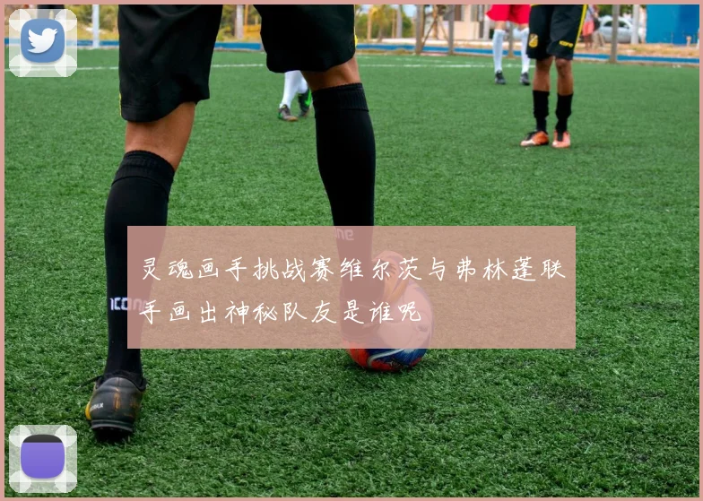 灵魂画手挑战赛维尔茨与弗林蓬联手画出神秘队友是谁呢