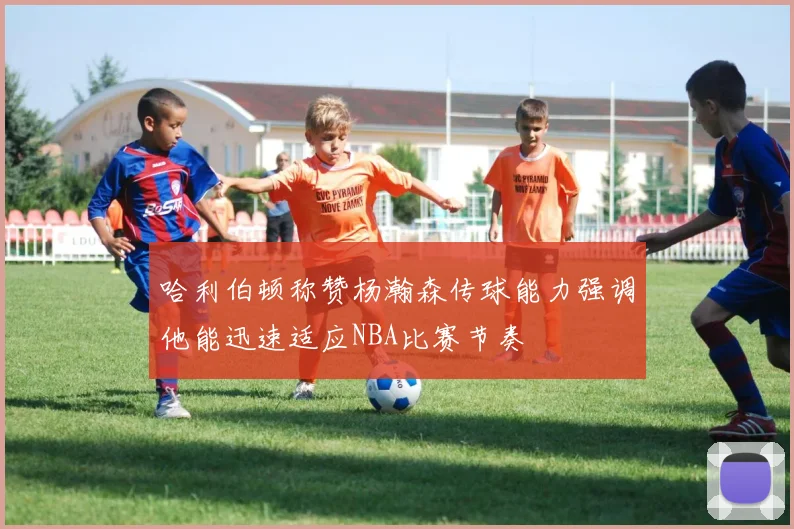 哈利伯顿称赞杨瀚森传球能力强调他能迅速适应NBA比赛节奏