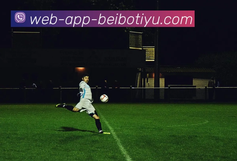 贝博体育APP 封面图